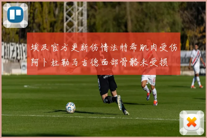埃及官方更新伤情法特希肌肉受伤阿卜杜勒马吉德面部骨骼未受损